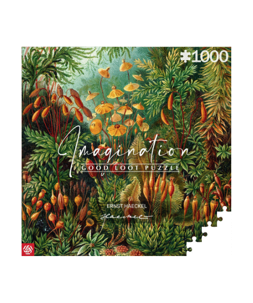 Puzzle Imagination Ernst Haeckel Muscinae 1000 elementów 1