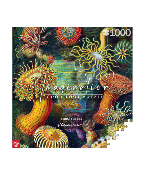 Puzzle Imagination Ernst Haeckel Sea Anemones / Stworzenia morskie (1000 elementów) 1