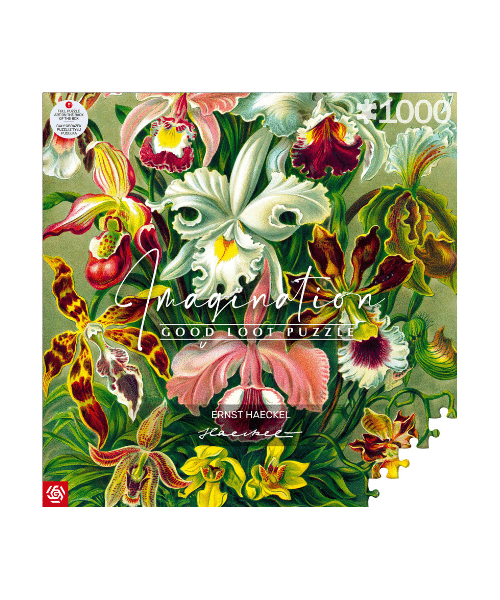 Good Loot Imagination Puzzle: Ernst Haeckel Orchidea / Orchid (1000 elementów) 1