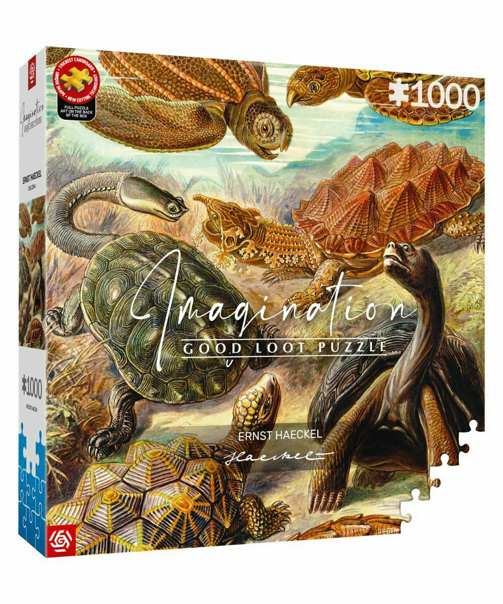 Imagination Puzzle: Ernst Haeckel Żółwie morskie, 1000 elementów 1