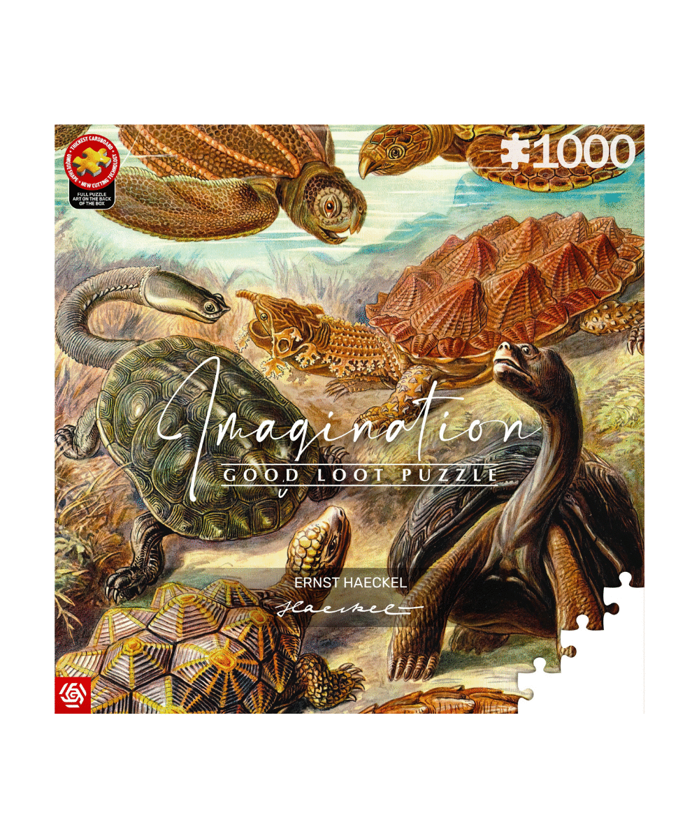 Imagination Puzzle: Ernst Haeckel Żółwie morskie, 1000 elementów 1
