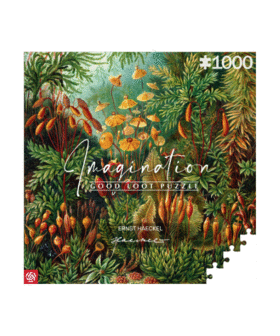 Puzzle Imagination Ernst Haeckel Muscinae 1000 elementów 1