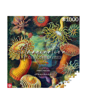 Puzzle Imagination Ernst Haeckel Sea Anemones / Stworzenia morskie (1000 elementów) 1