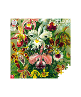 Good Loot Imagination Puzzle: Ernst Haeckel Orchidea / Orchid (1000 elementów) 1