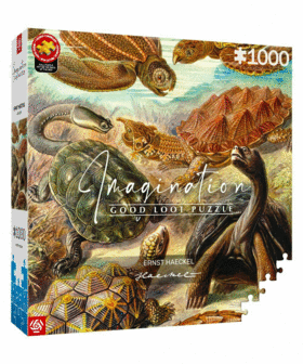 Imagination Puzzle: Ernst Haeckel Żółwie morskie, 1000 elementów 1