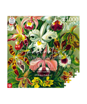 Good Loot Imagination Puzzle: Ernst Haeckel Orchidea / Orchid (1000 elementów) 1